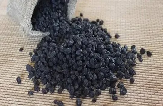تصویر 3 از قیمت کشمش سیاه افغانستان + خرید باور نکردنی